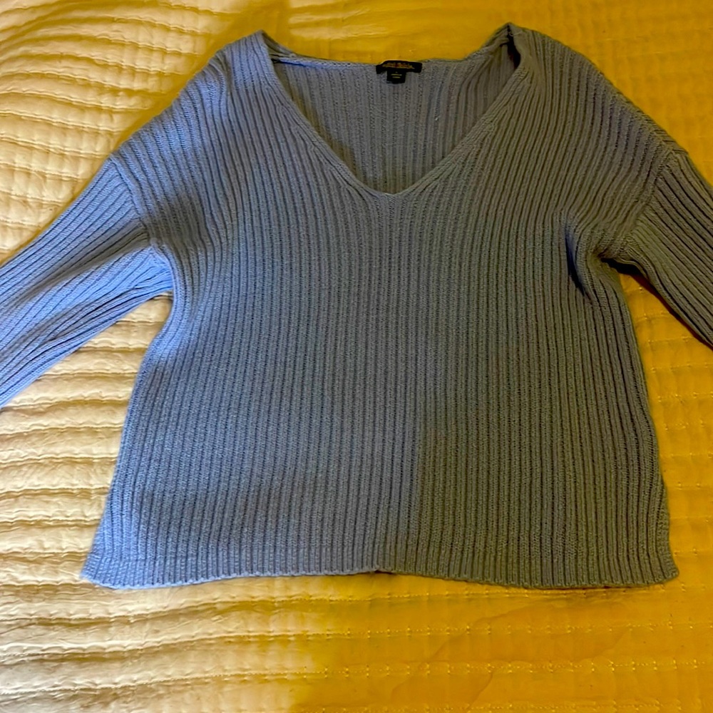 Blue wild fable sweater